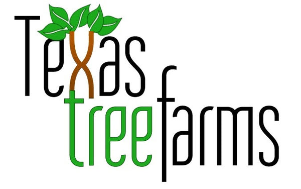 Texas Tree Farms