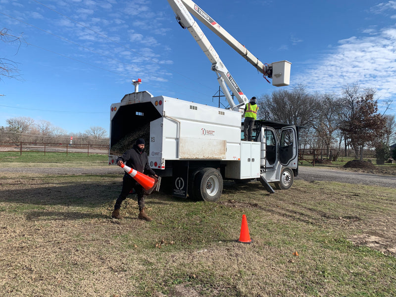 Tree Trimming Consultation