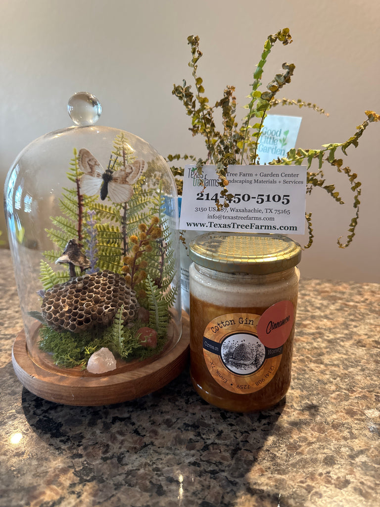 cinnamon and honey for plants Cotton Gin Farms Cinnamon Creamed Honey – Texas Tree Farms