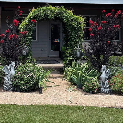 Crape Myrtle Black Diamond Best Red