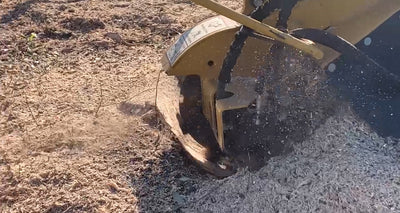 Stump Grinding