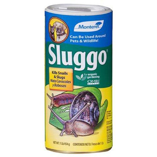 Sluggo