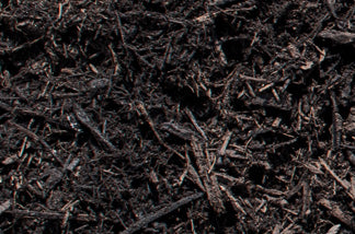 New Earth Cedar Mulch