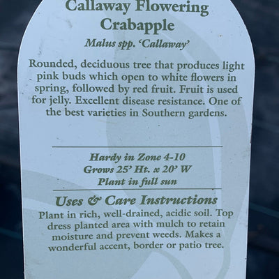 Crabapple Callaway